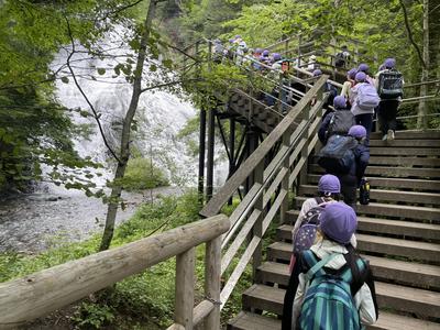 戦場ヶ原を歩き、湯滝に到着しました！